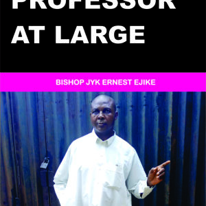 Professor at Large