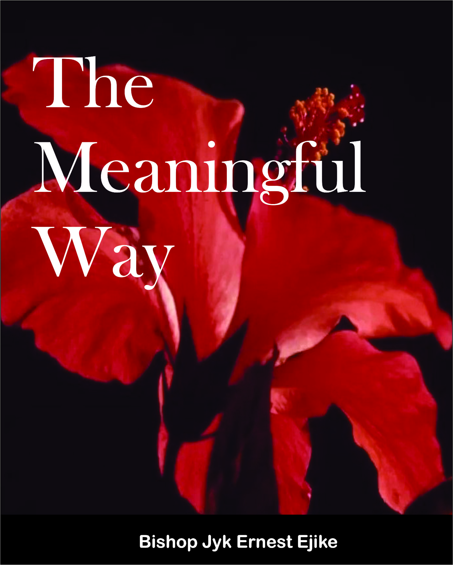 The Meaningful way