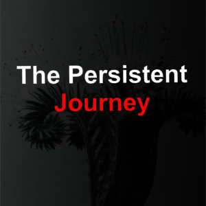 The persistent journey